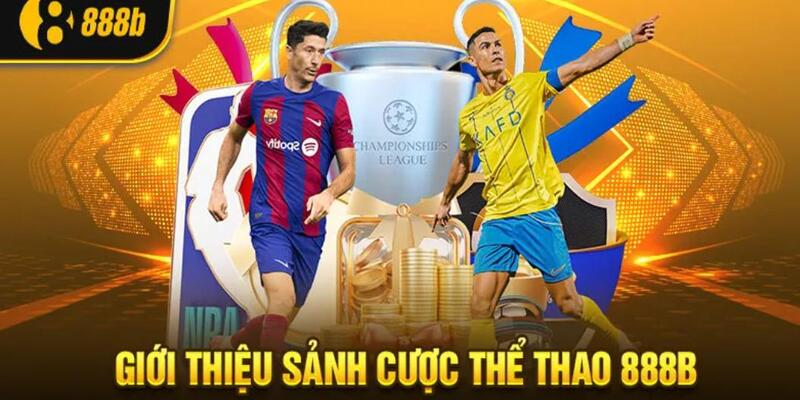 Vài nét thông tin giới thiệu sảnh FC